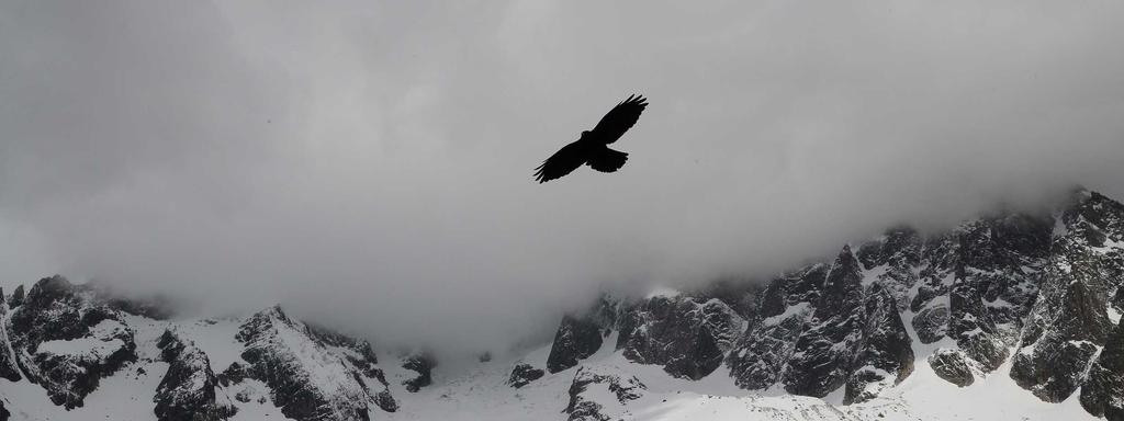 Foto di copertina